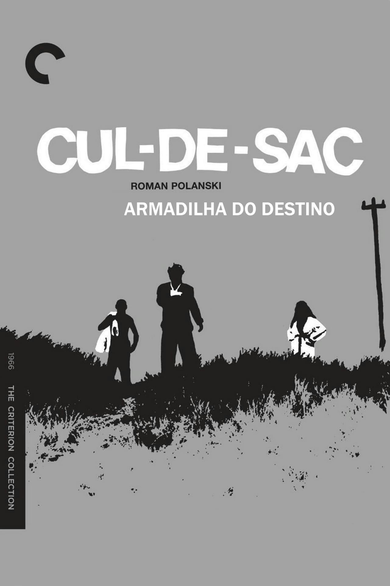 Assistir Armadilha do Destino Online em HD