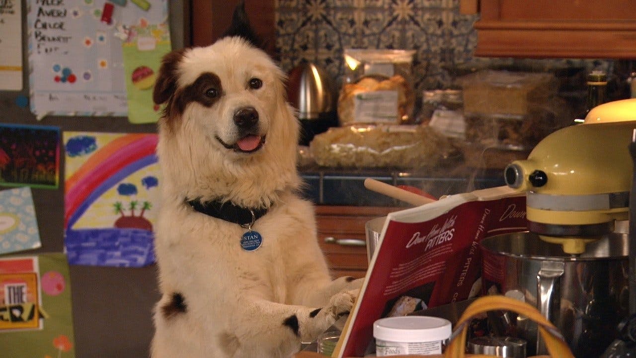 assista ao episódio 12 da temporada 2