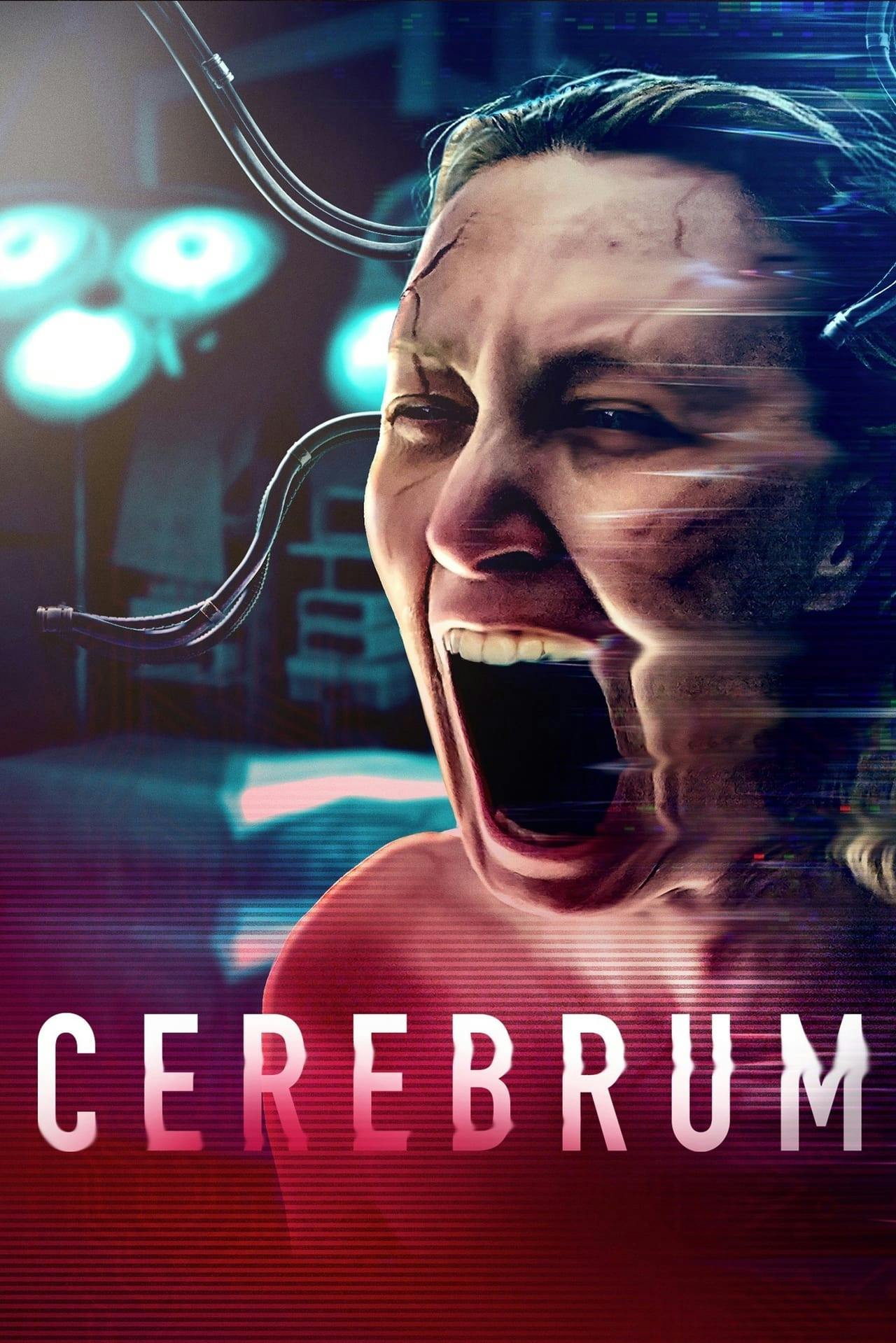 Assistir Cerebrum Online em HD