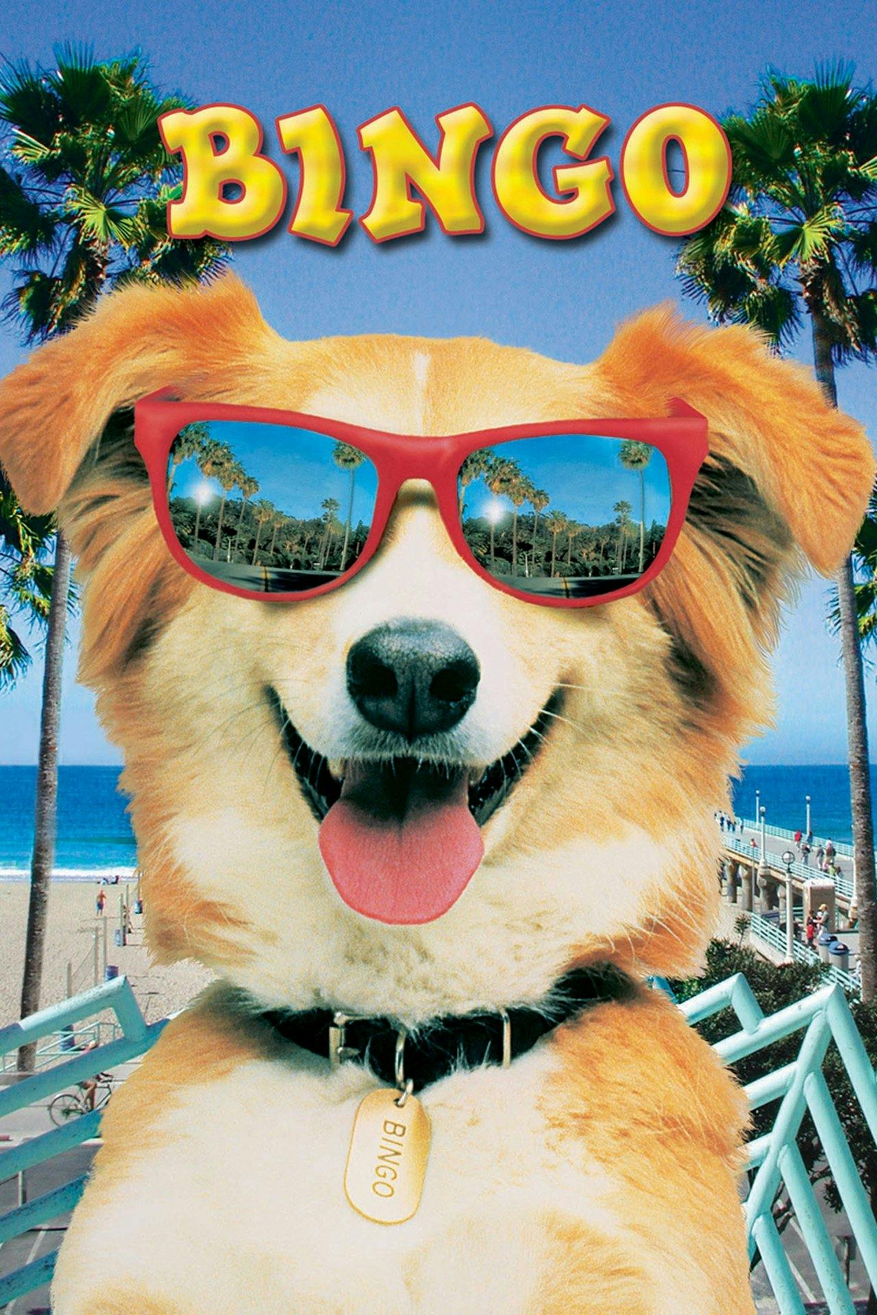Assistir Bingo Online em HD