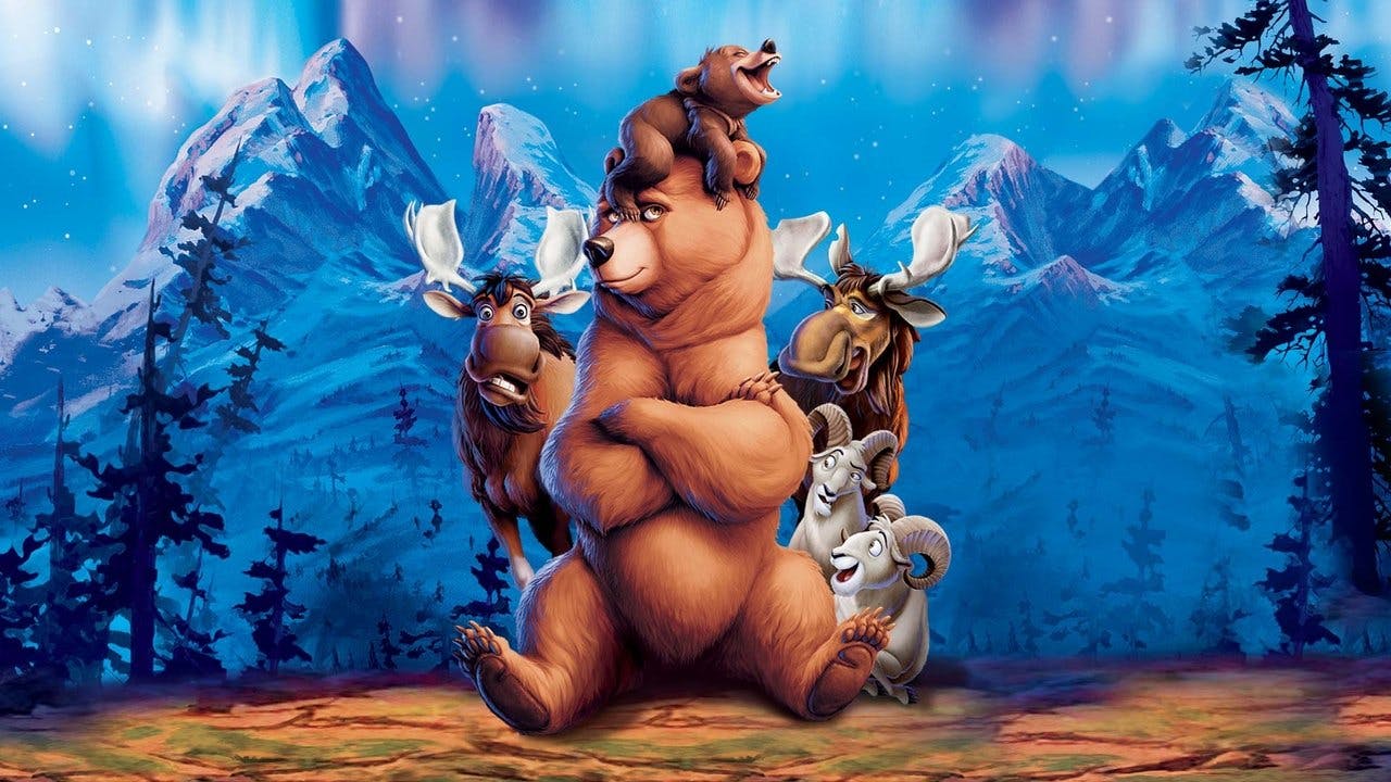 Irmão Urso
