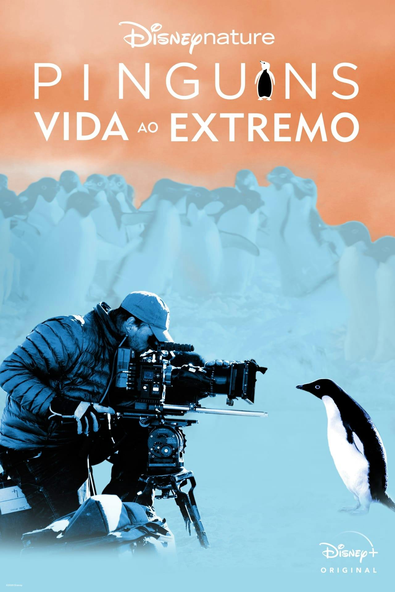 Assistir Pinguins: Vida ao Extremo Online em HD