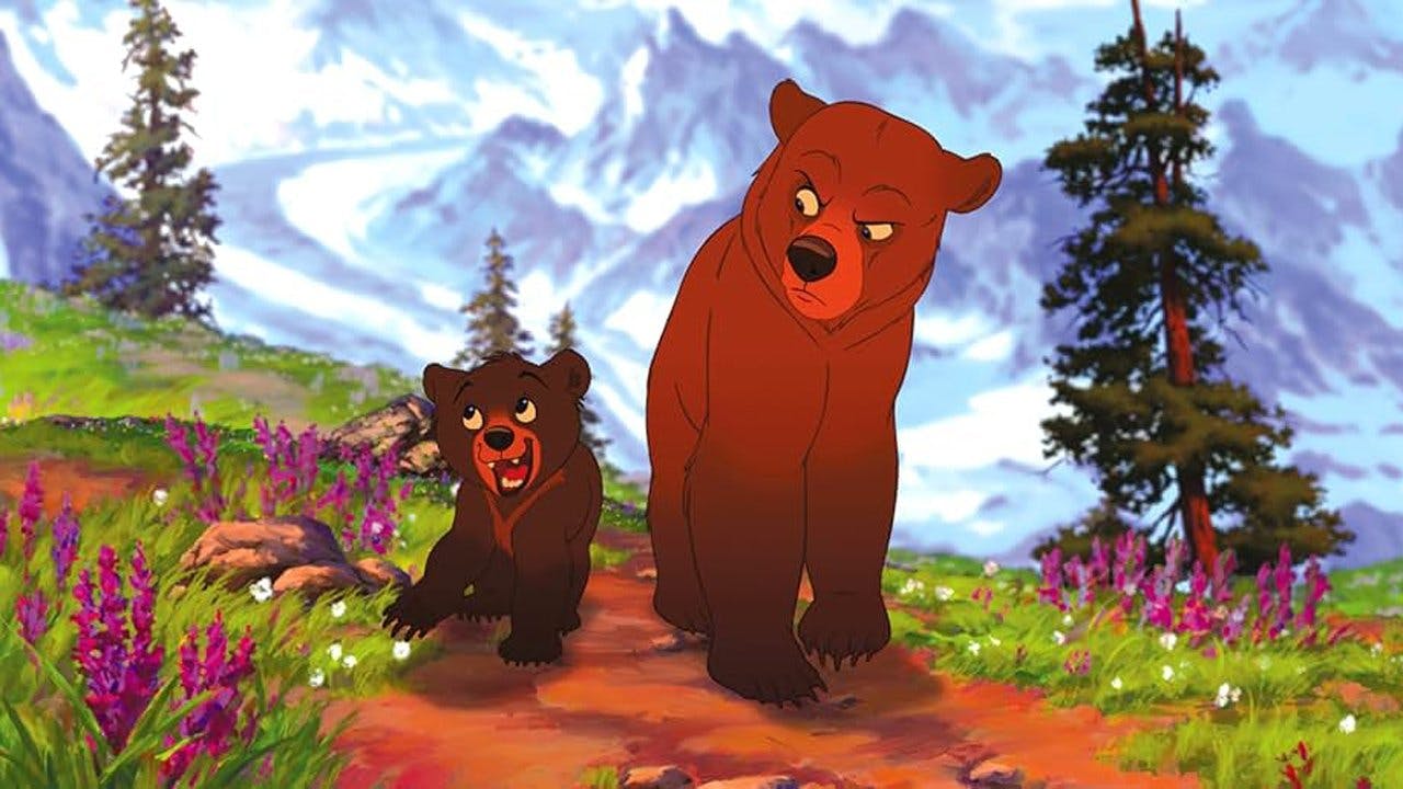 Irmão Urso