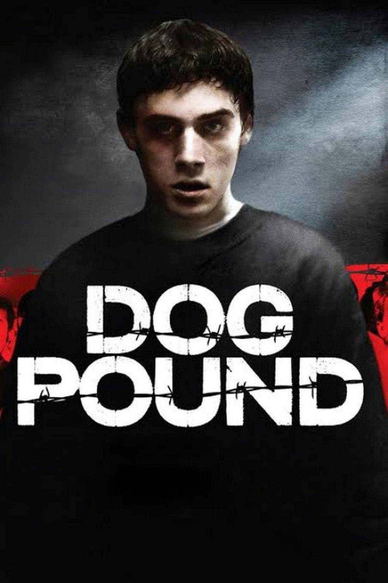 Assistir O Canil: Dog Pound Online em HD