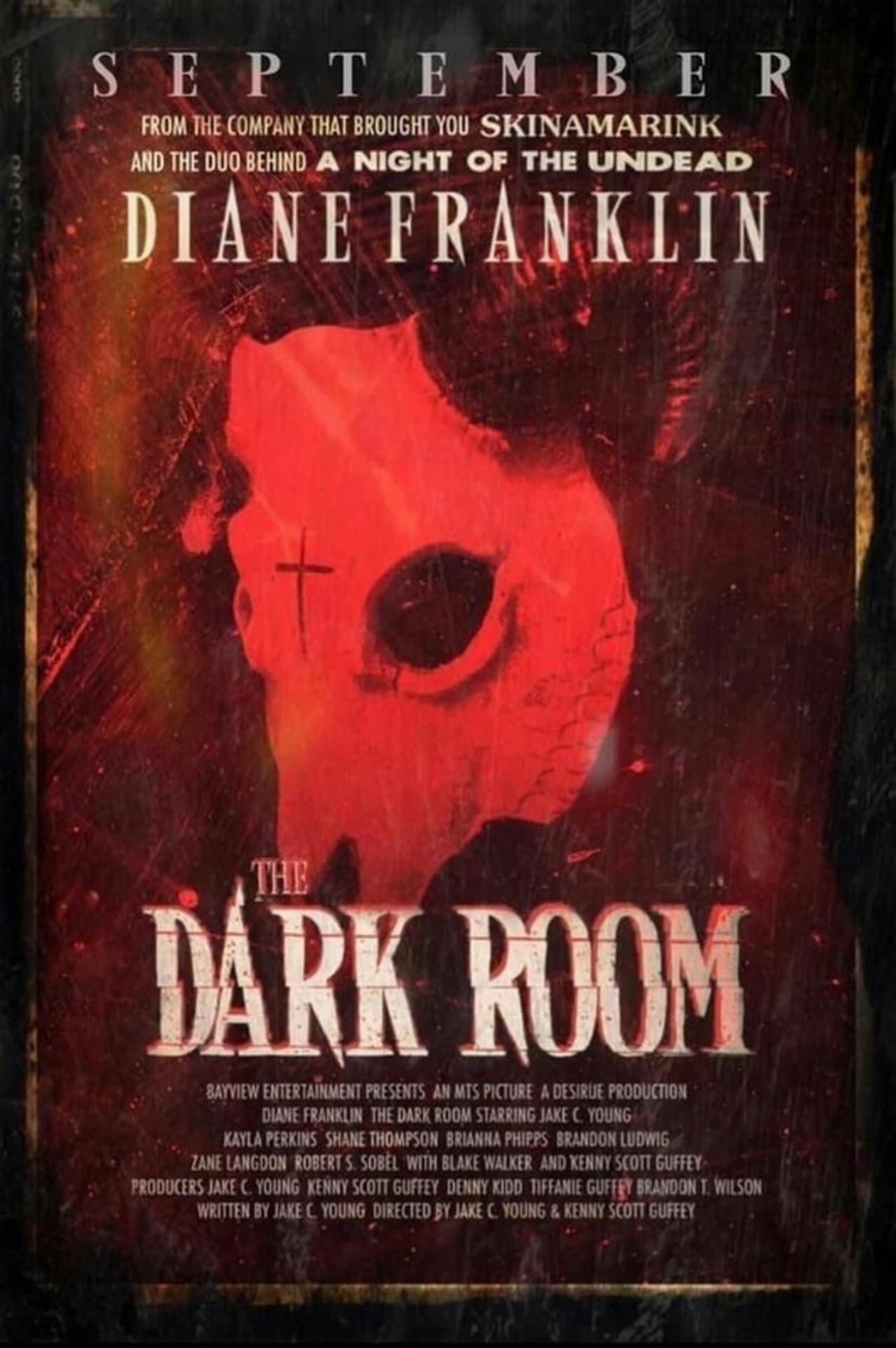 Assistir The Dark Room Online em HD