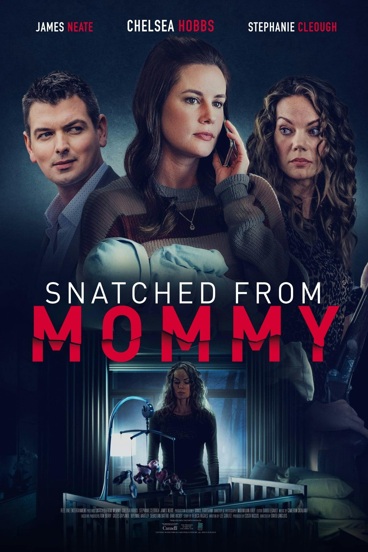 Assistir Snatched from Mommy Online em HD