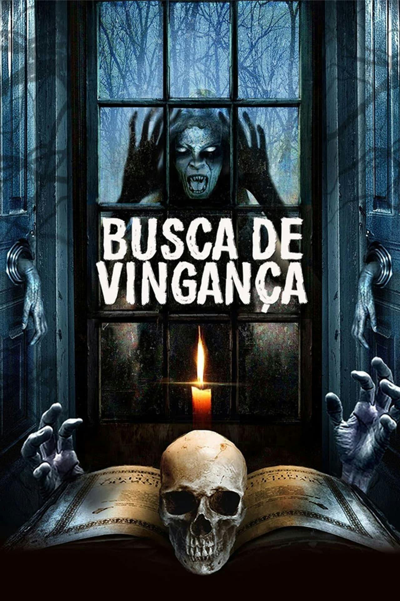 Assistir Busca de Vingança Online em HD