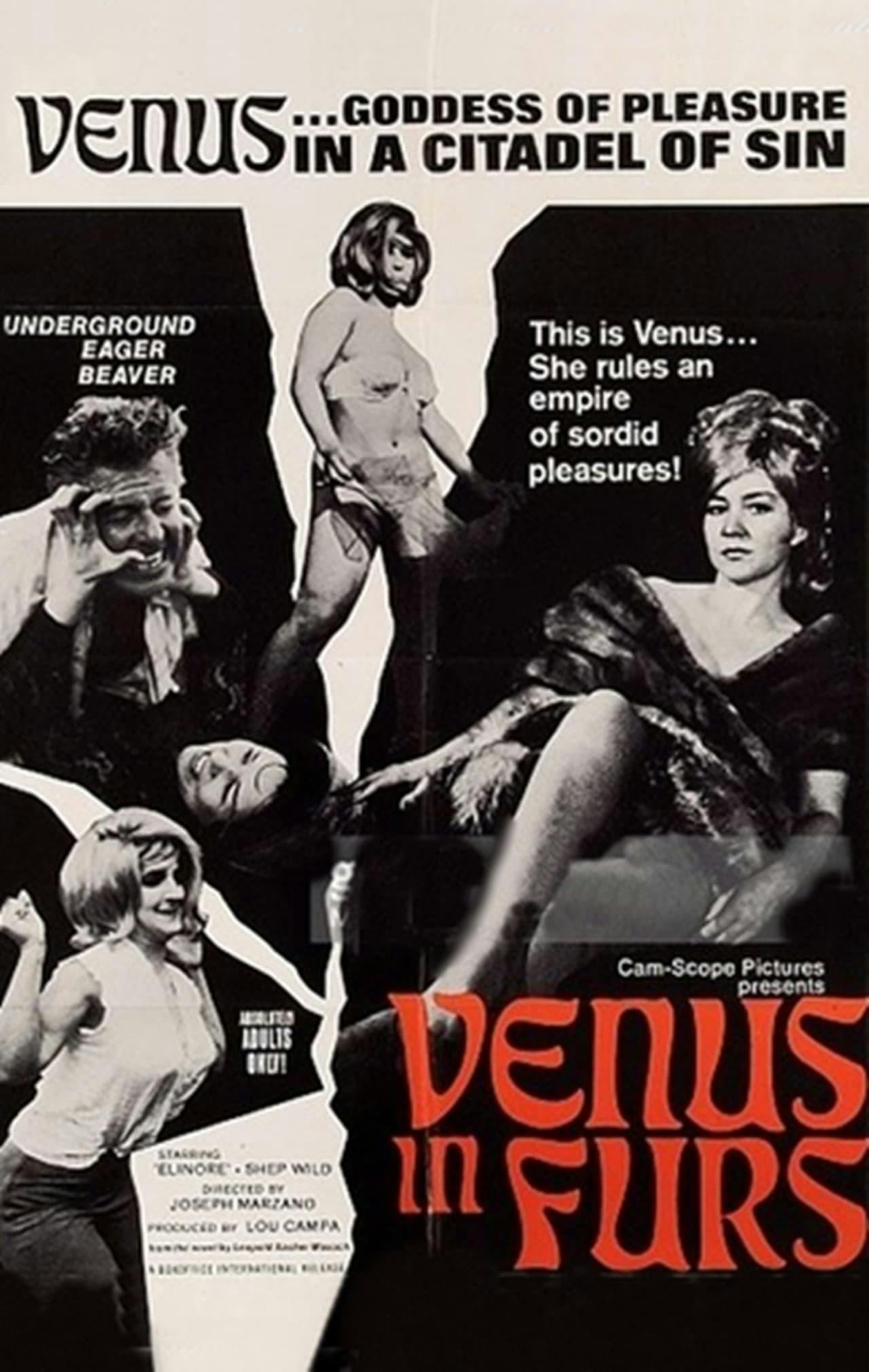 Assistir Venus in Furs Online em HD