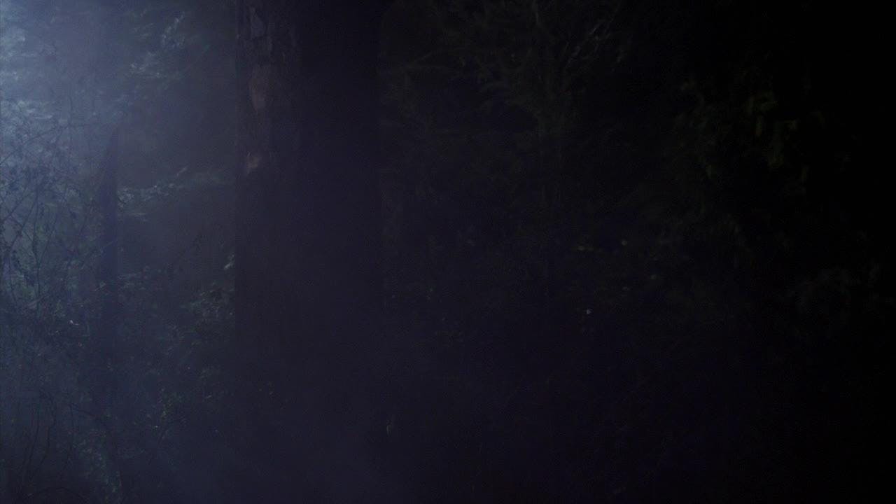 assista ao episódio 7 da temporada 1