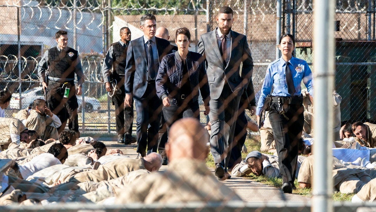 assista ao episódio 7 da temporada 8