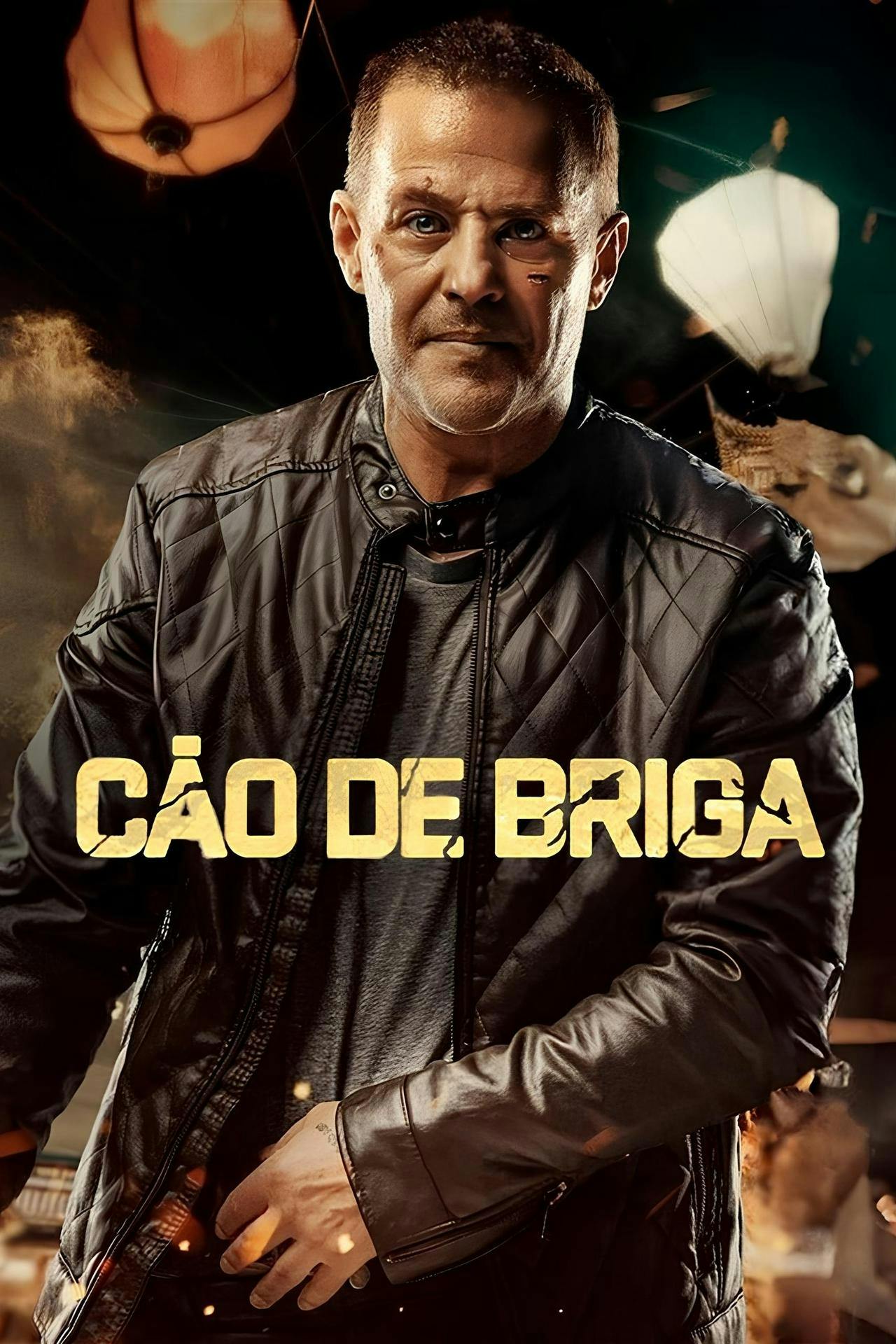 Assistir Cão de Briga Online em HD