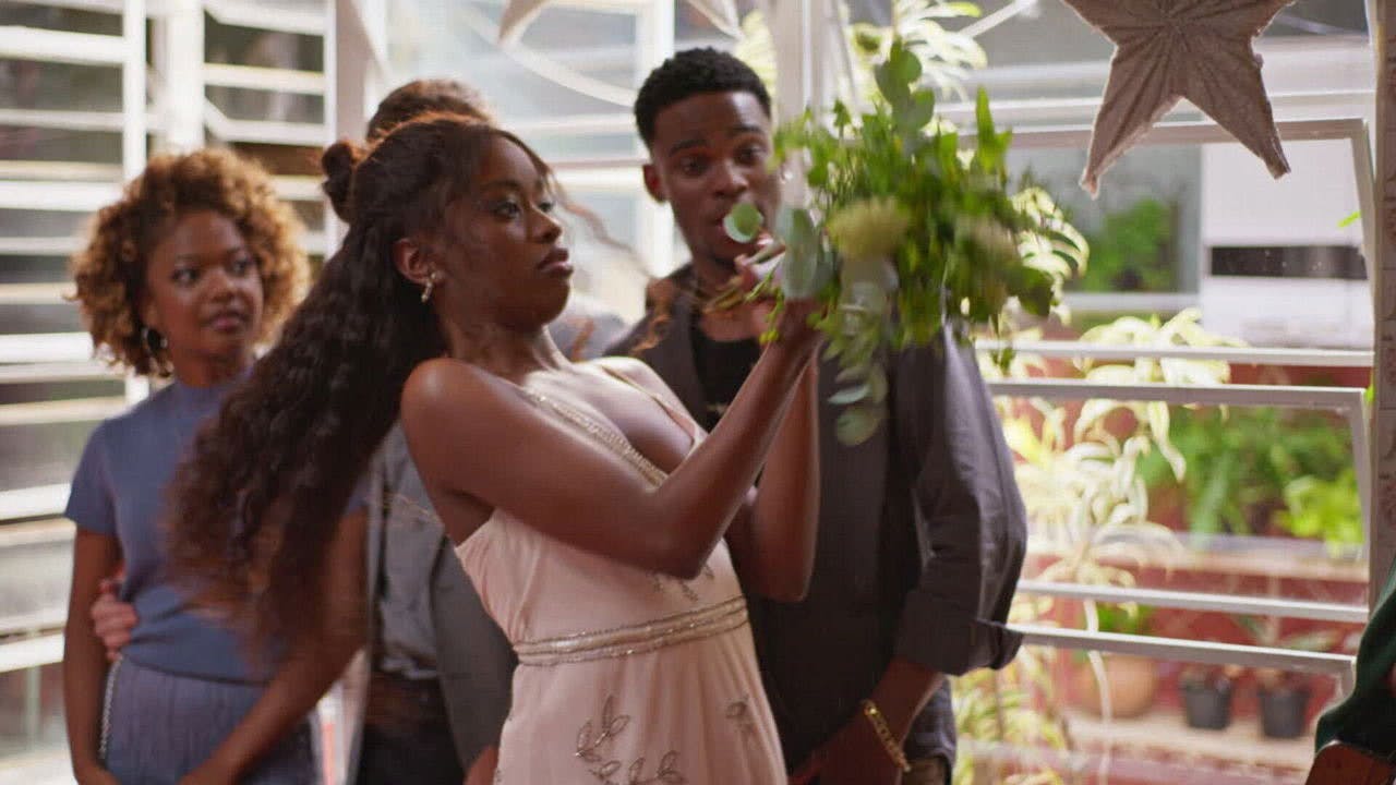 assista ao episódio 211 da temporada 1