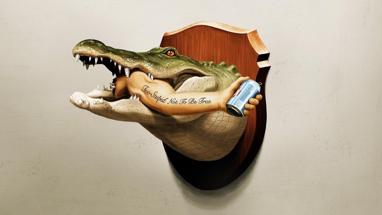 Só Acontece na Flórida. assista online