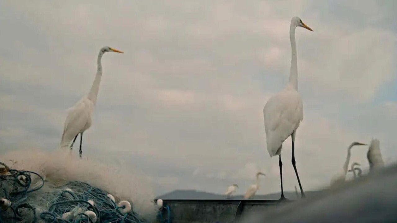 assista ao episódio 4 da temporada 1