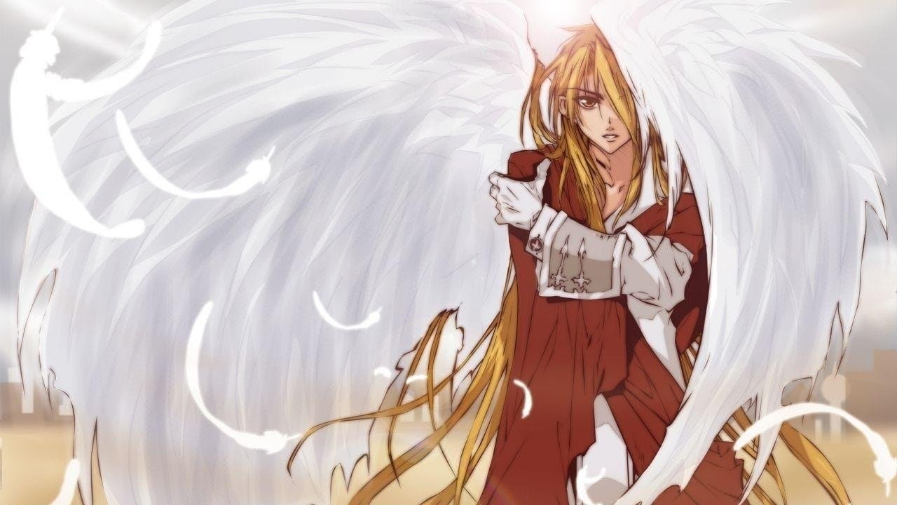 D.N.Angel