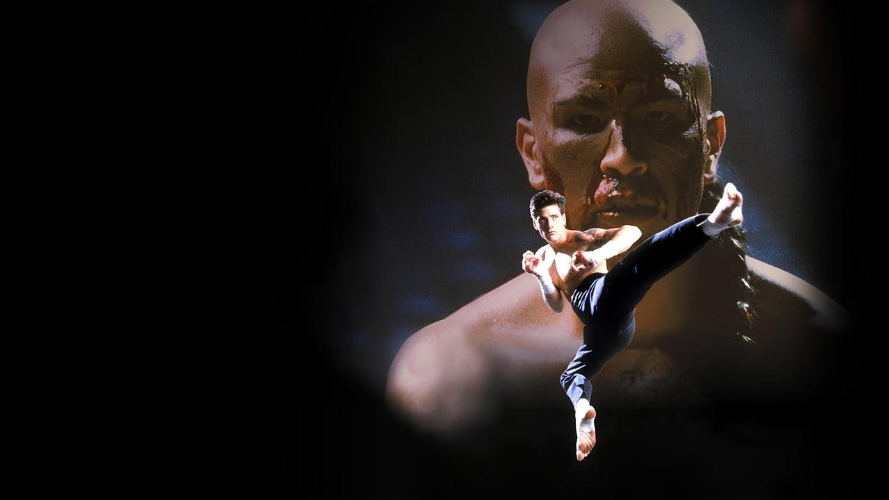 Kickboxer 4 - O Agressor assista online