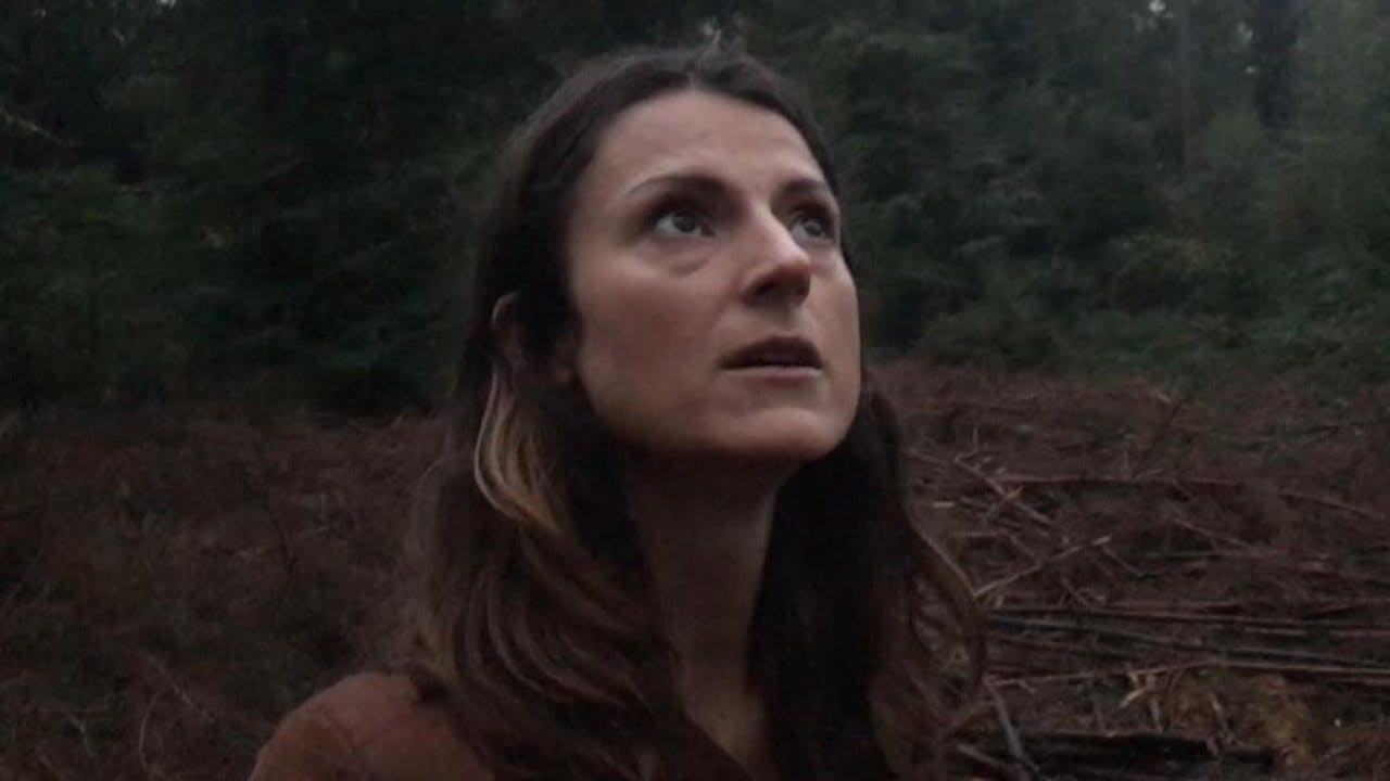 Evil in the Woods assista online
