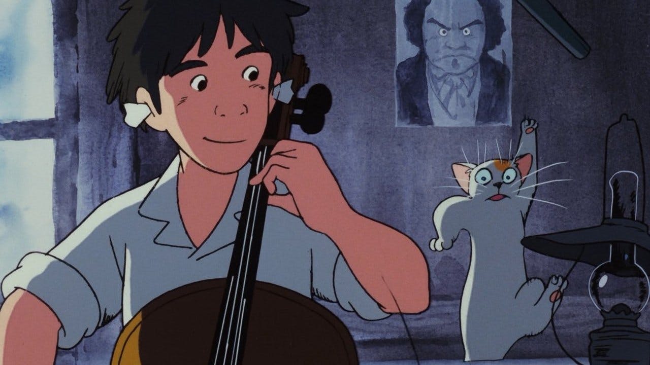Goshu: O Violoncelista