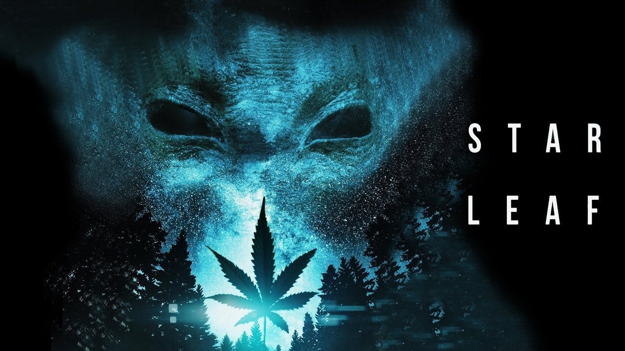 Star Leaf assista online