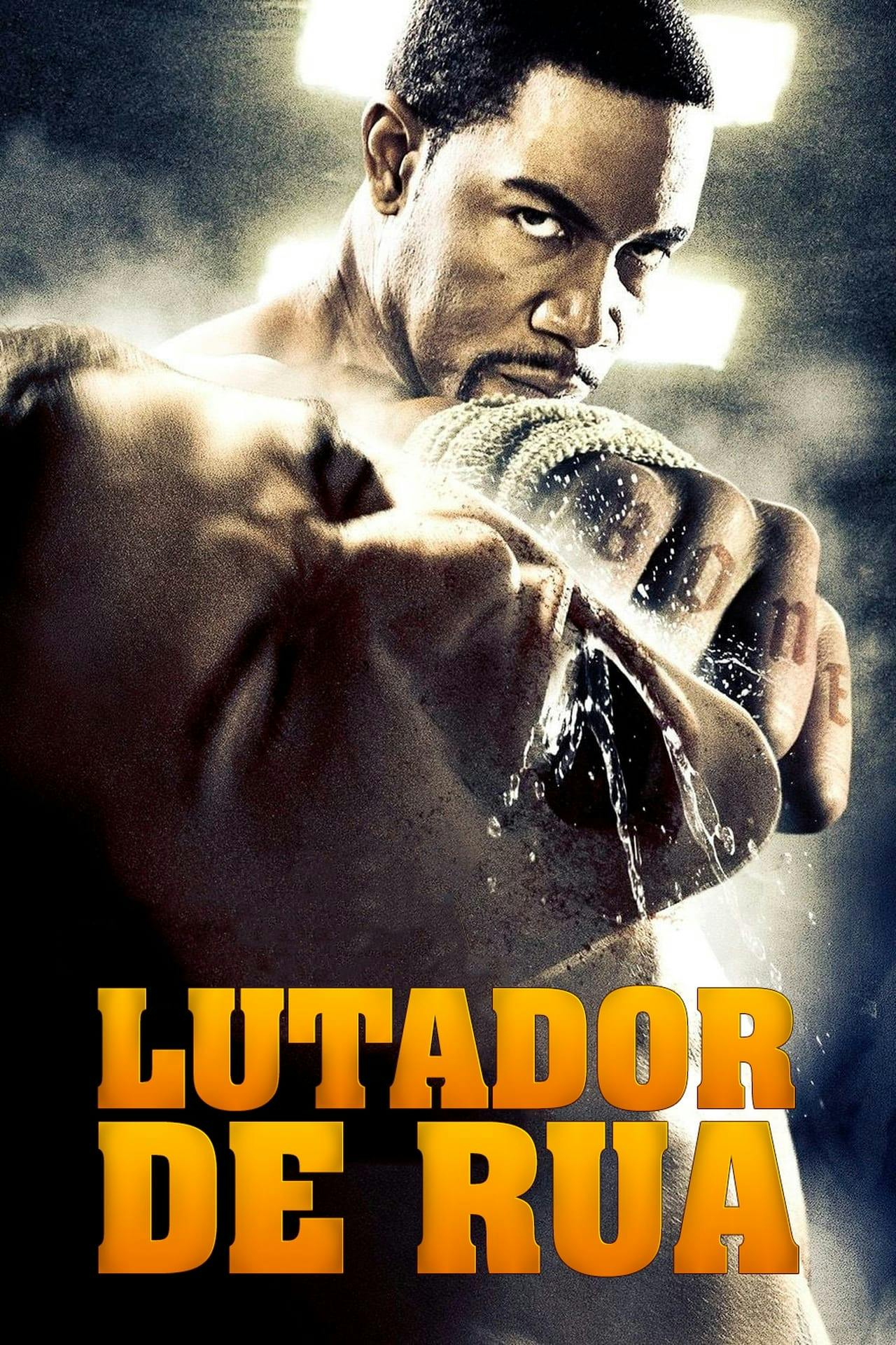 Assistir Lutador de Rua Online em HD