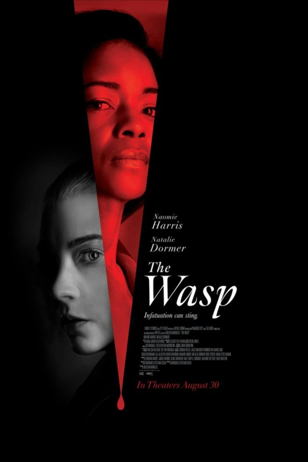 Assistir The Wasp Online em HD