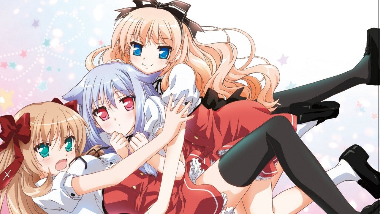 Mayoi Neko Overrun
