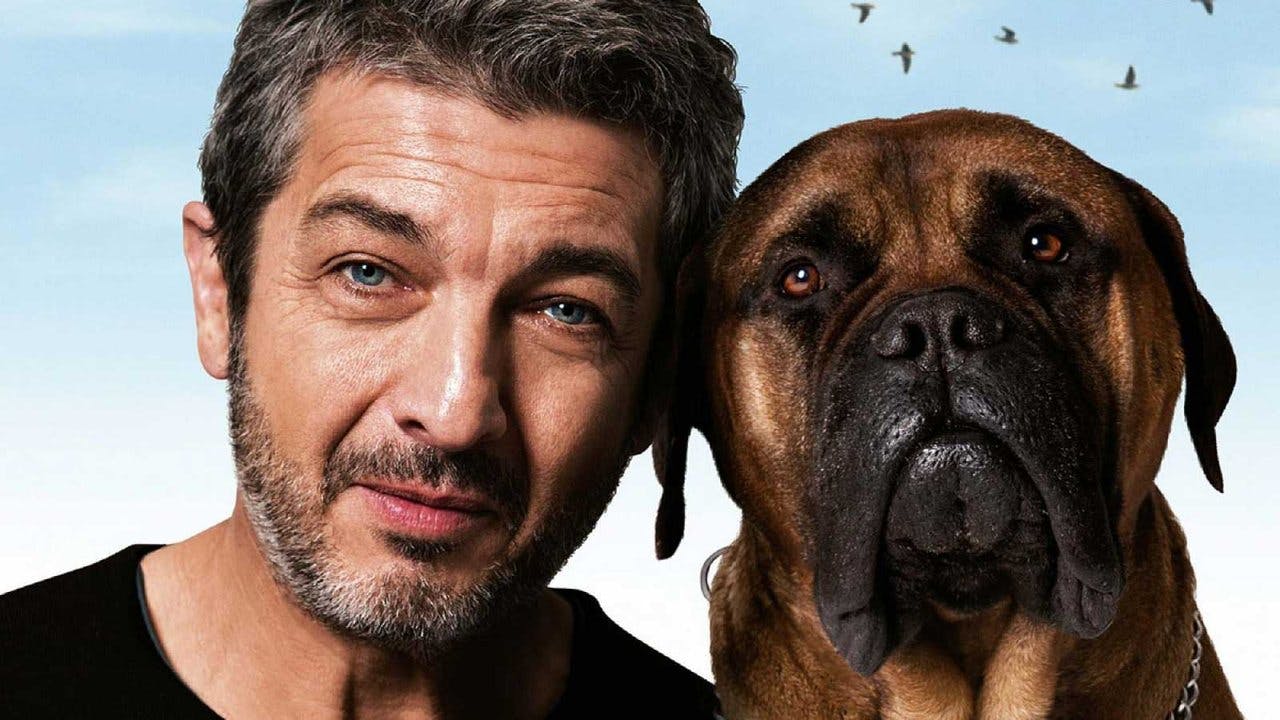 Truman assista online