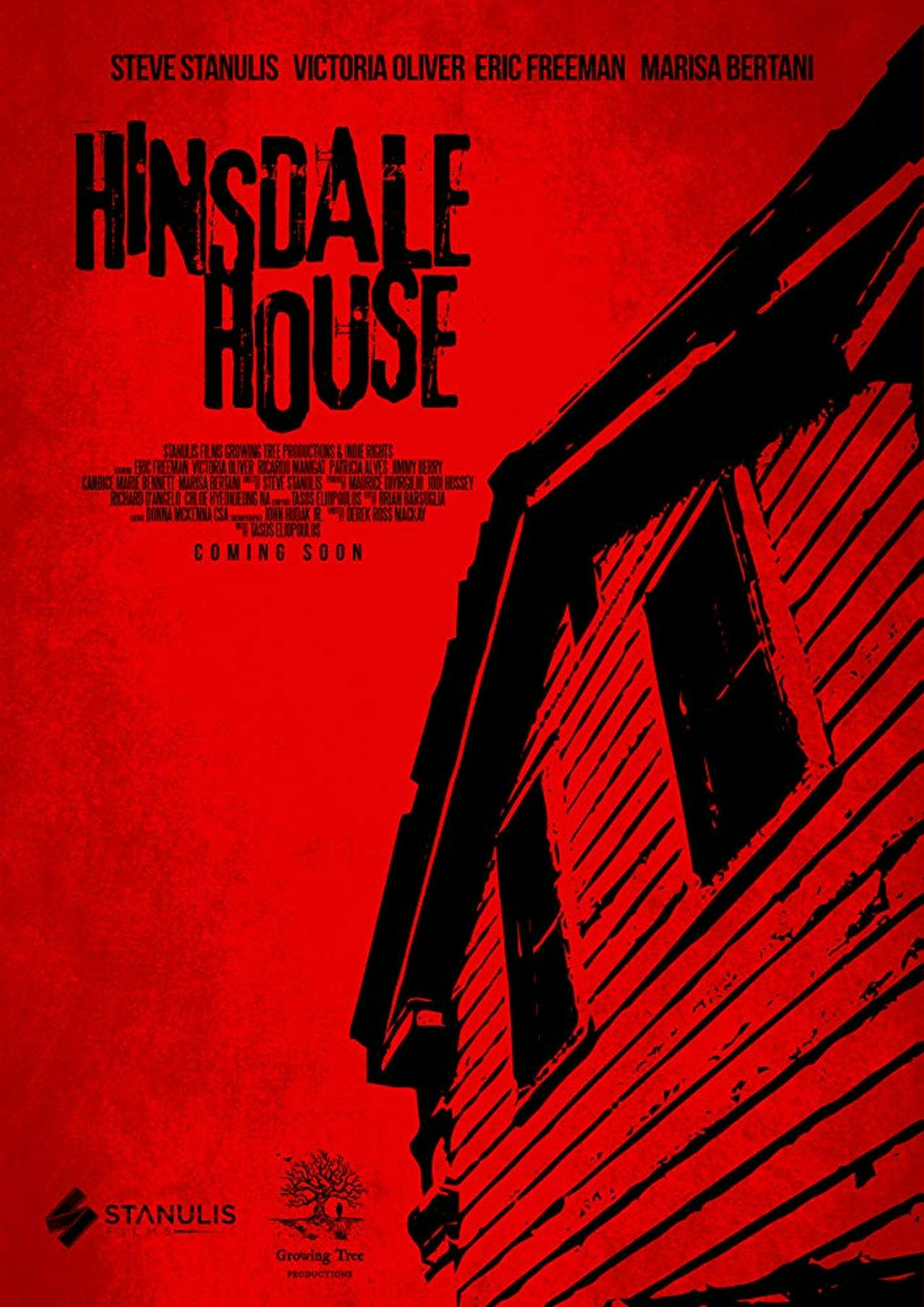 Assistir Hinsdale House Online em HD