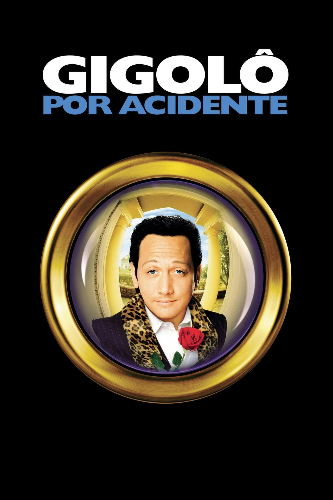 Assistir Gigolô por Acidente Online em HD