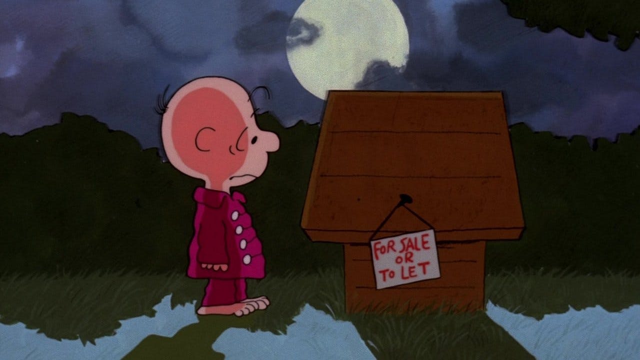 Volte para Casa, Snoopy