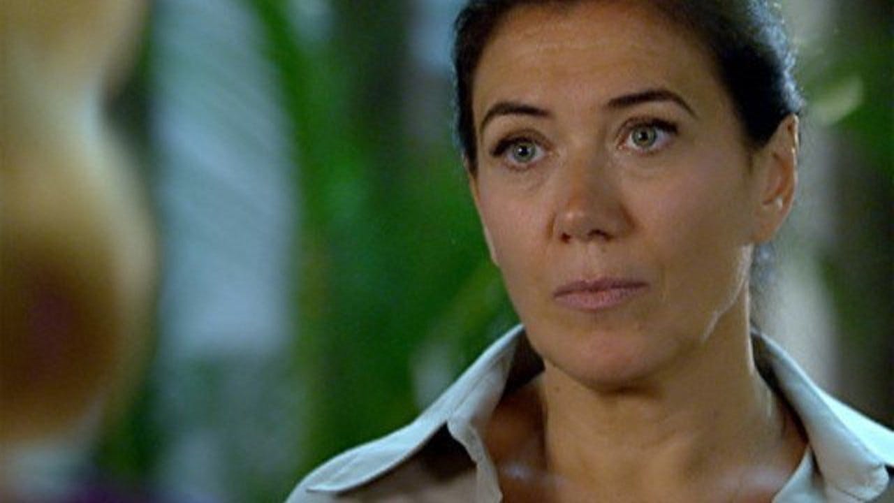 assista ao episódio 65 da temporada 1