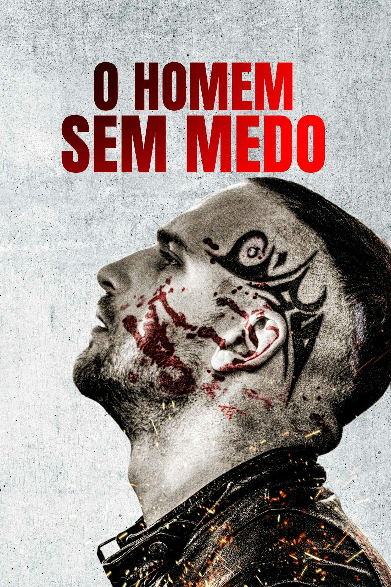 Assistir O Homem Sem Medo Online em HD