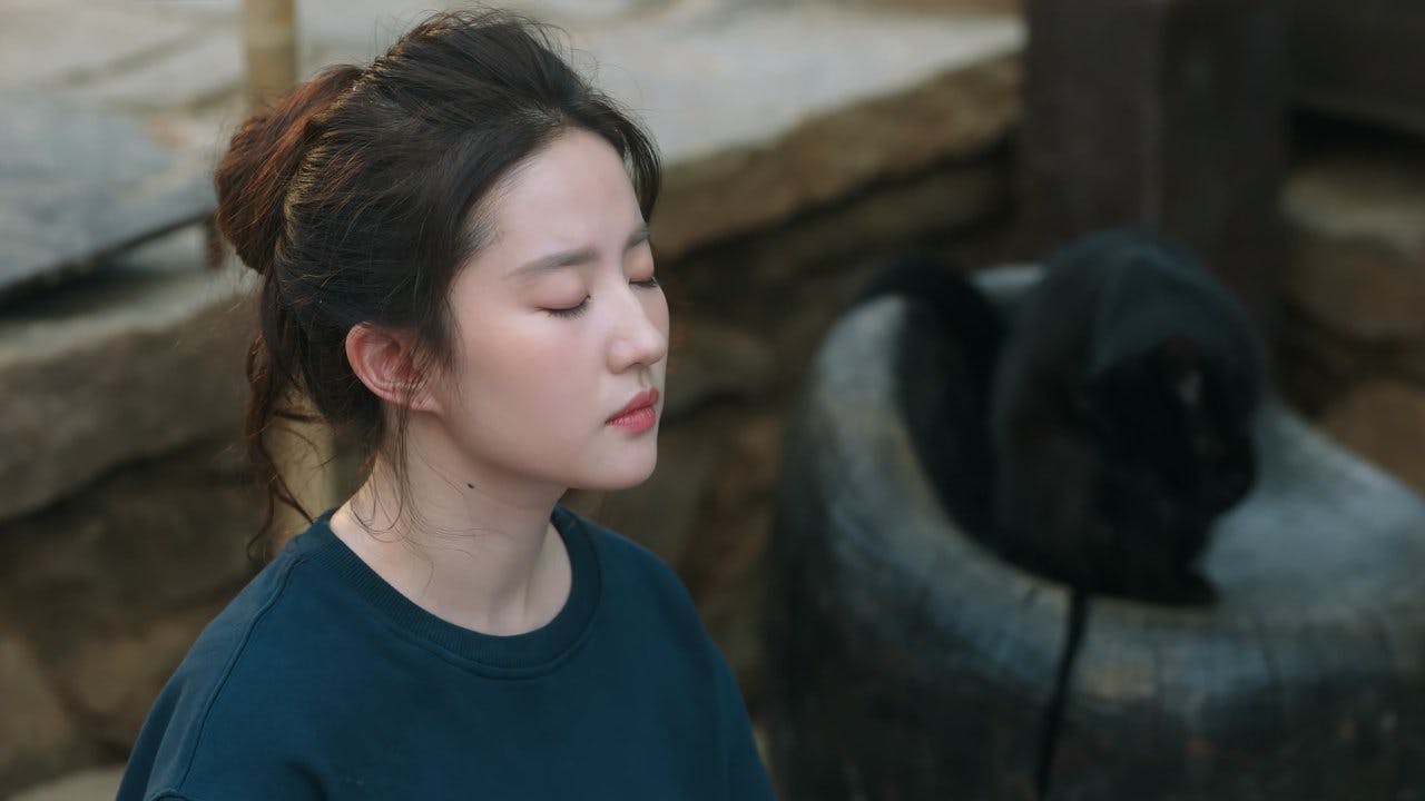assista ao episódio 16 da temporada 1