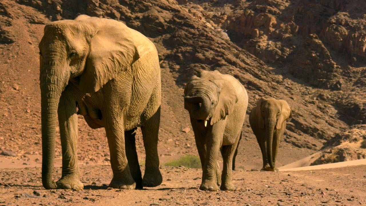 assista ao episódio 5 da temporada 1