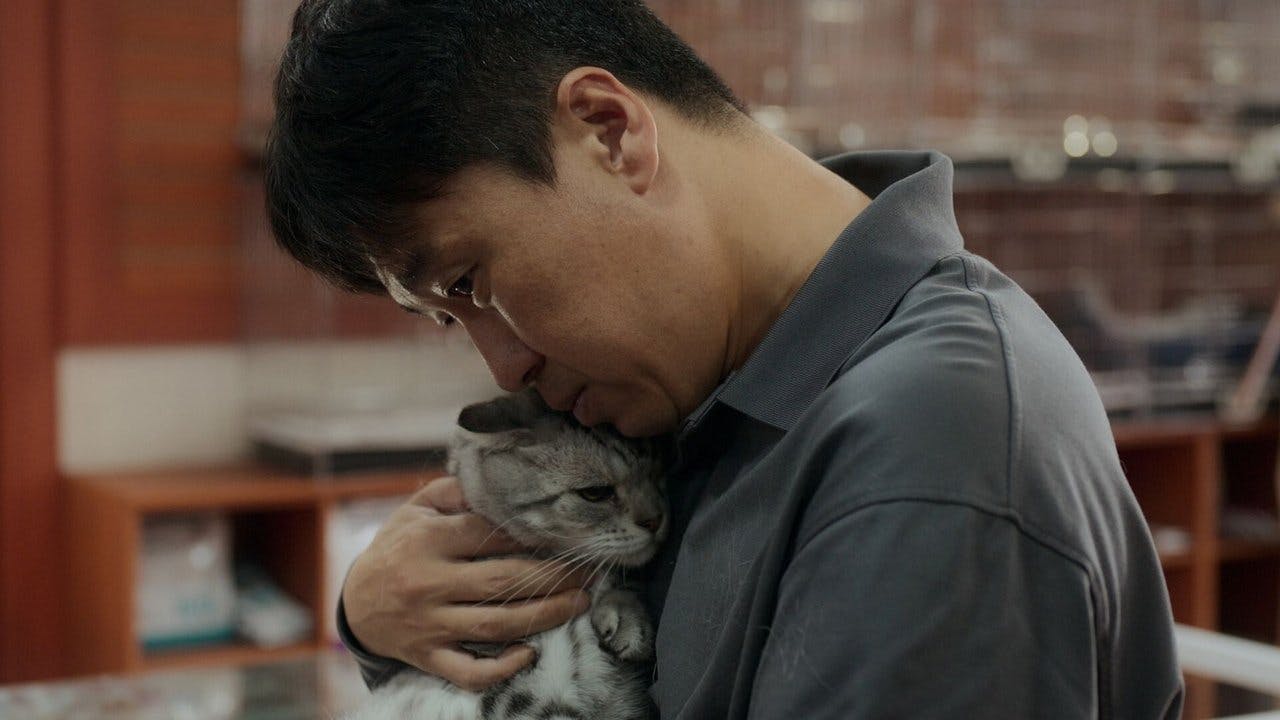 assista ao episódio 2 da temporada 1