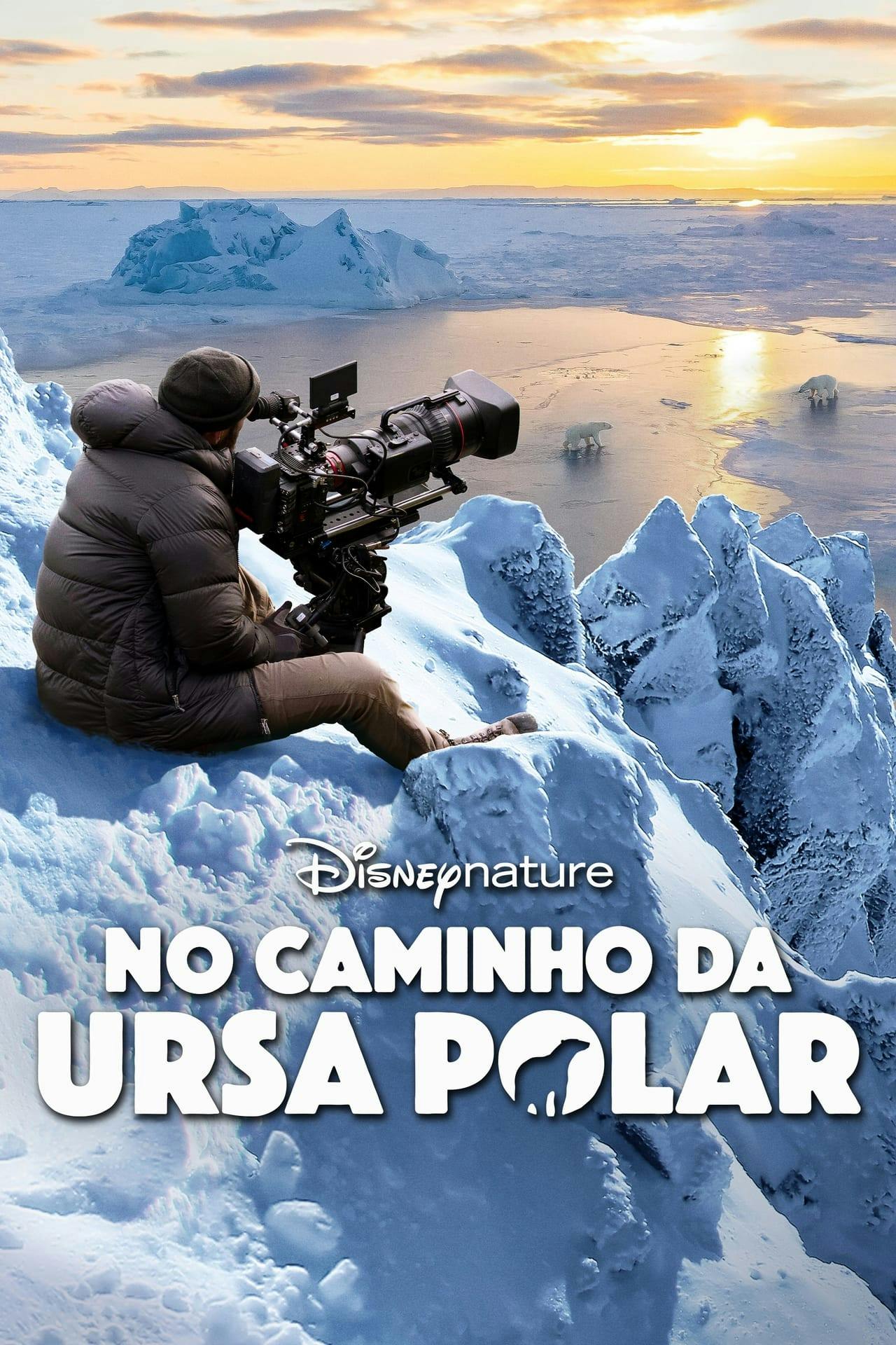 Assistir No Caminho da Ursa Polar Online em HD