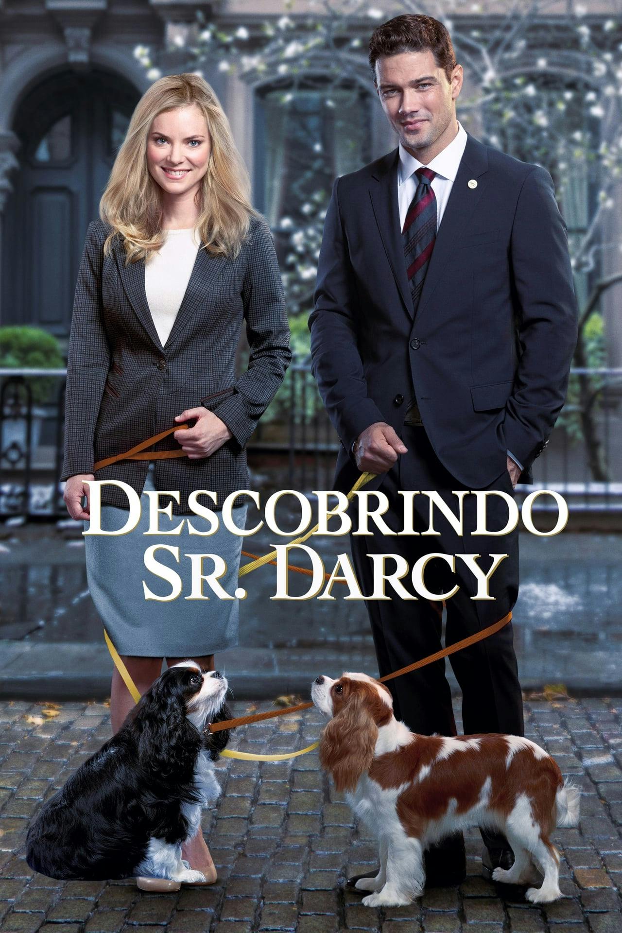 Assistir Descobrindo Sr. Darcy Online em HD