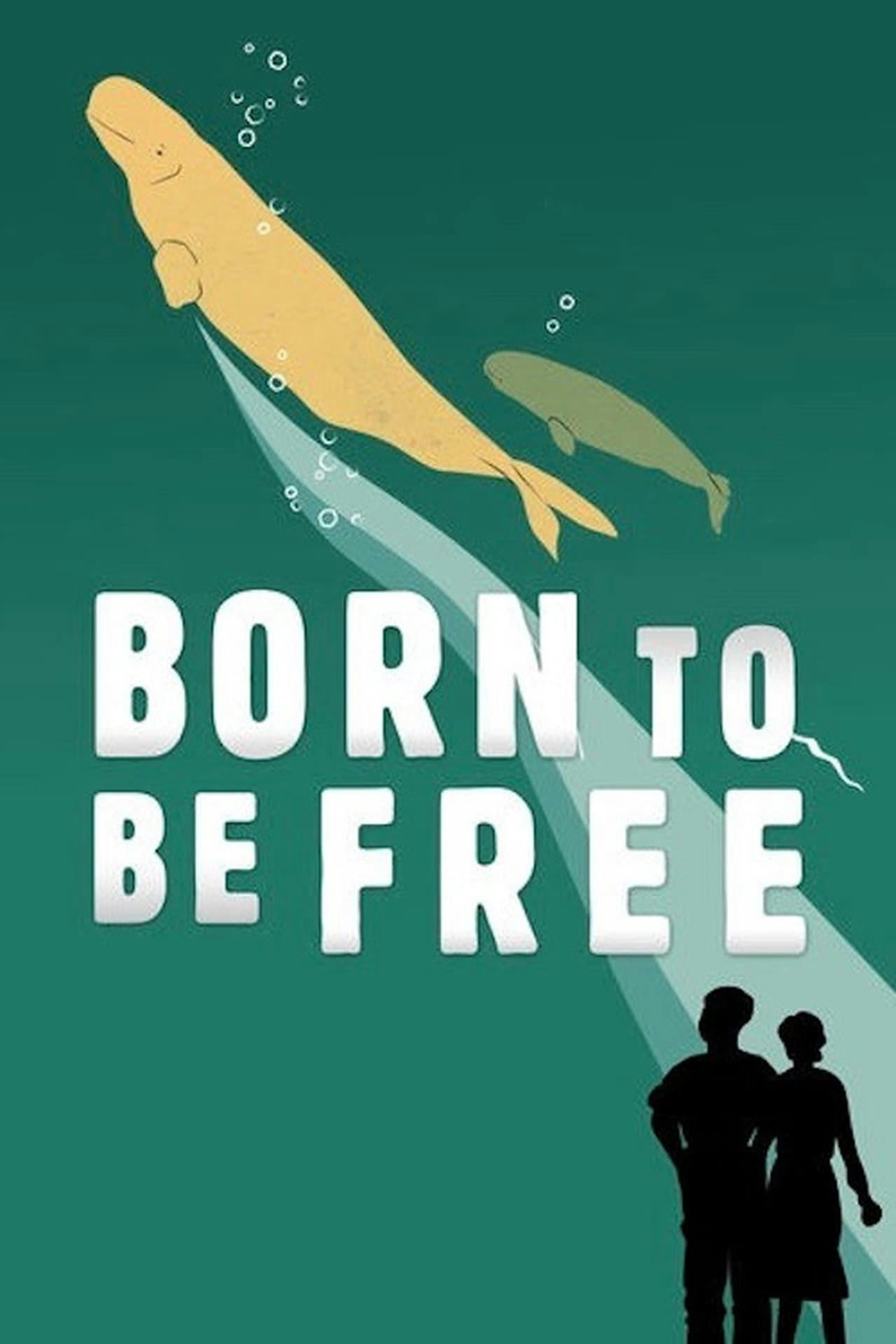 Assistir Born to Be Free Online em HD