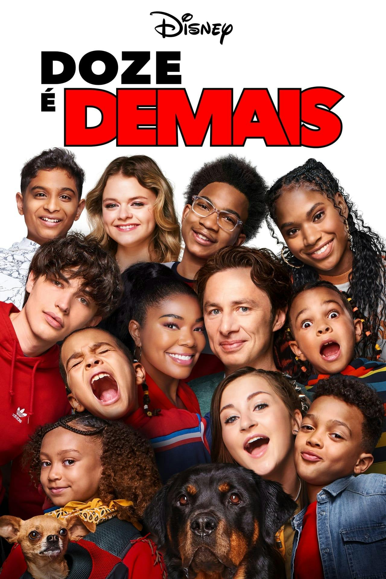Assistir Doze é Demais Online em HD