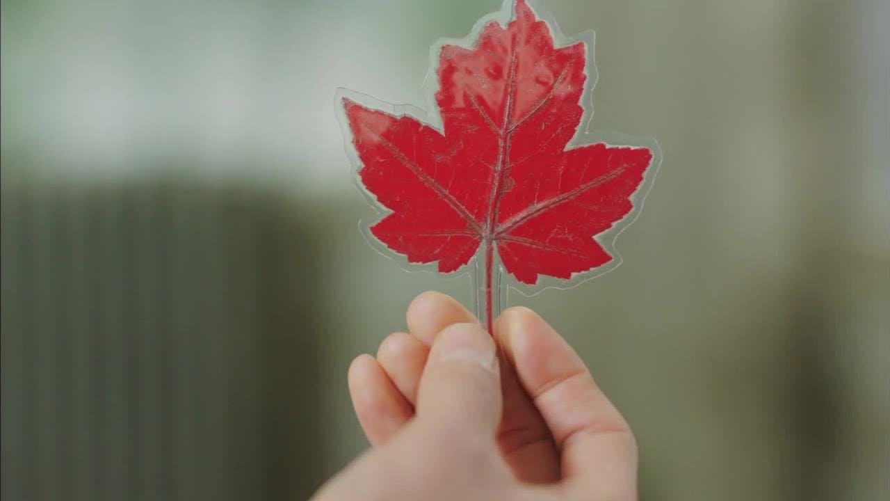 assista ao episódio 4 da temporada 1
