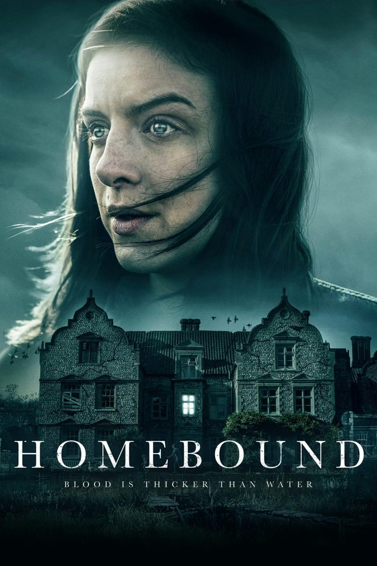 Assistir Homebound Online em HD