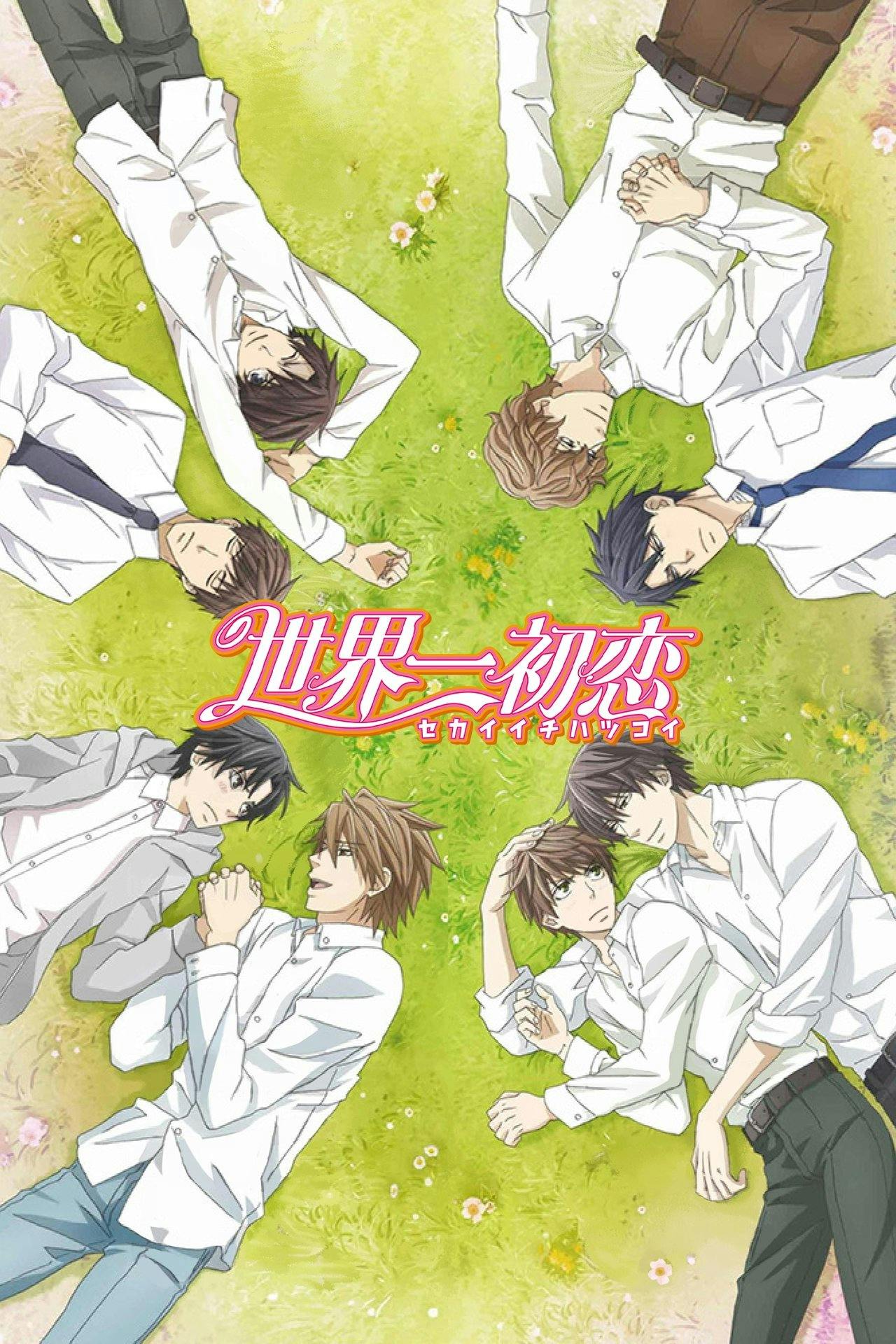 Assistir Sekaiichi Hatsukoi Online em HD