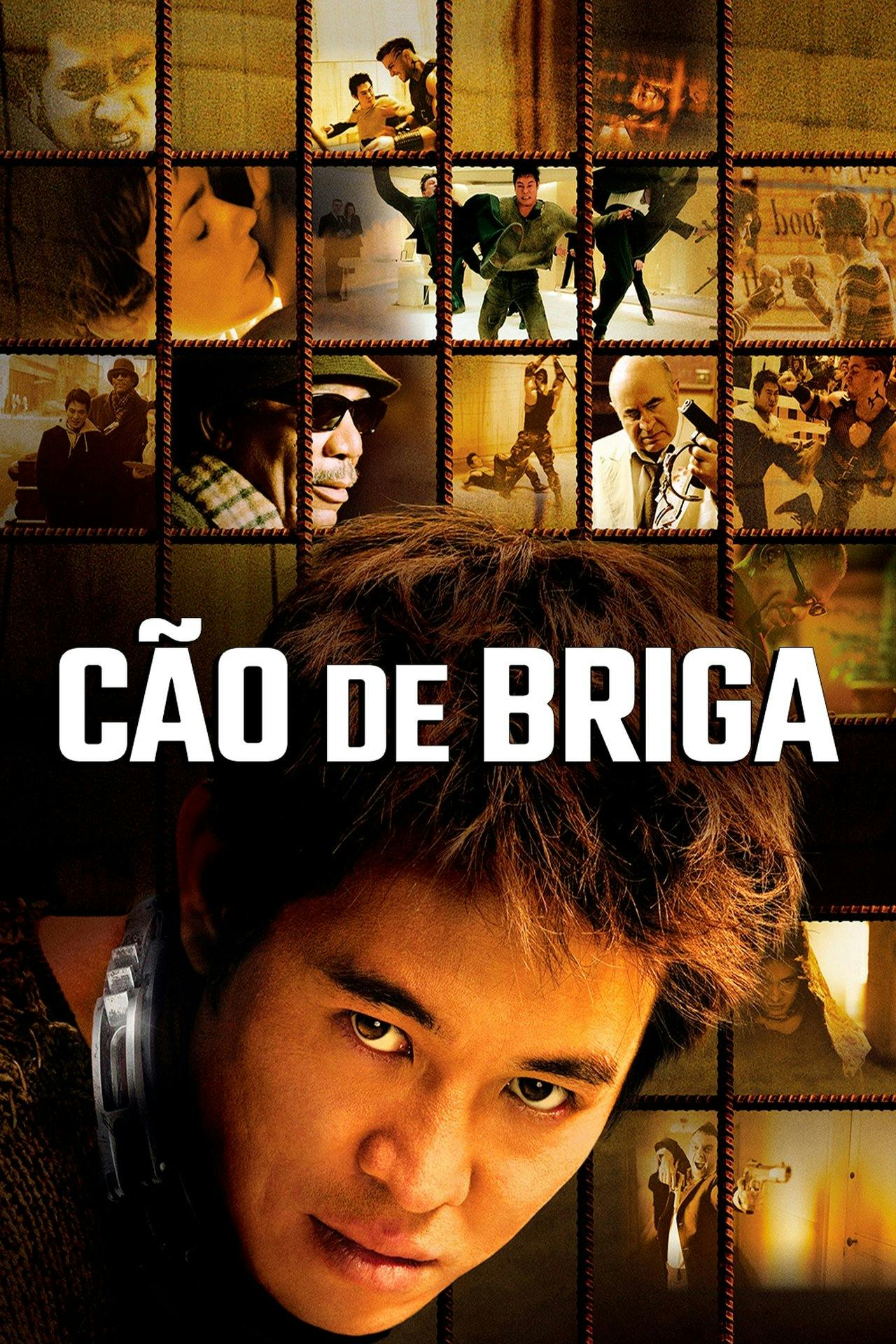 Assistir Cão de Briga Online em HD