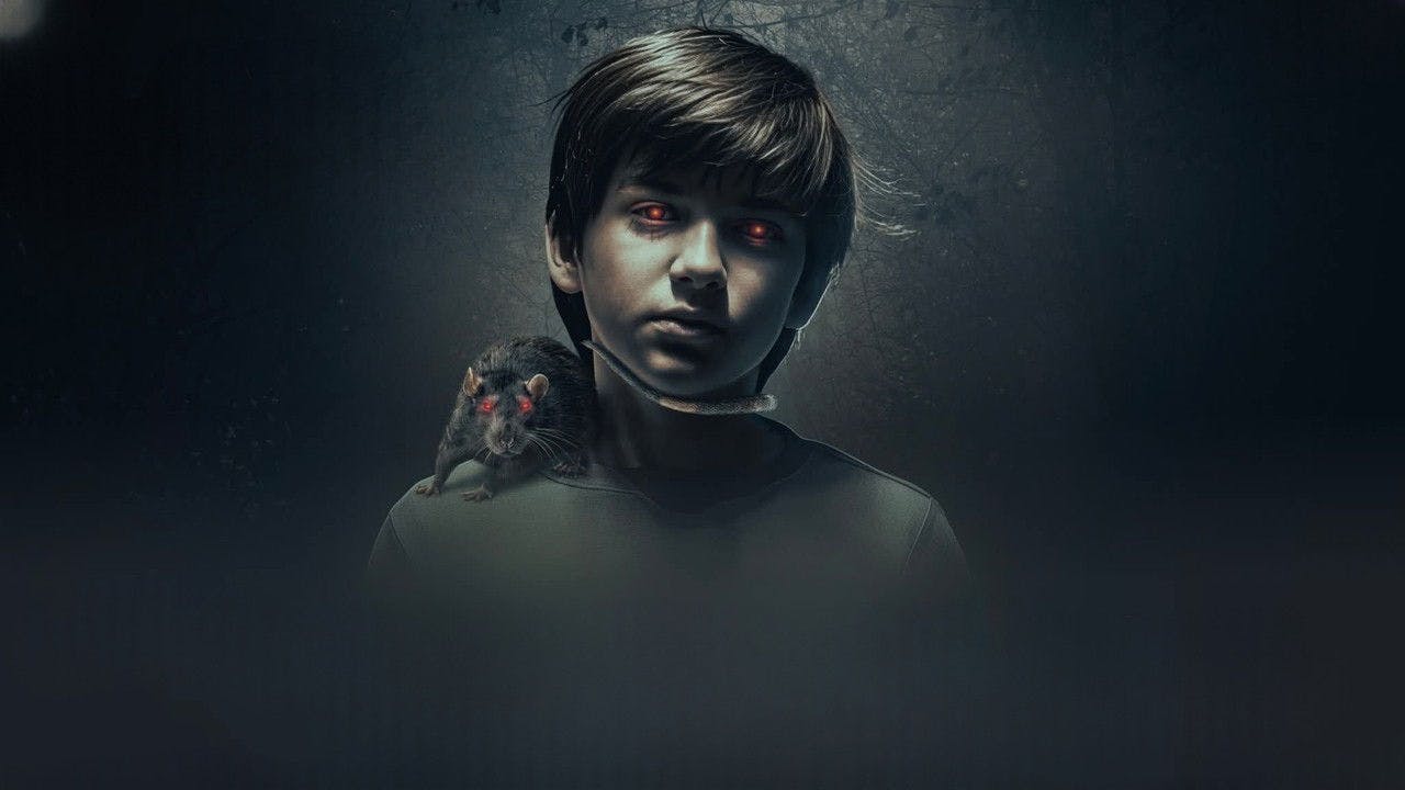 The Confession assista online