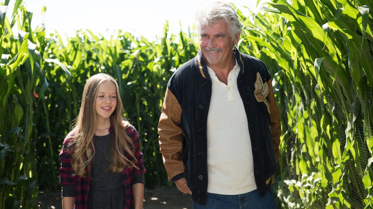 assista ao episódio 8 da temporada 1