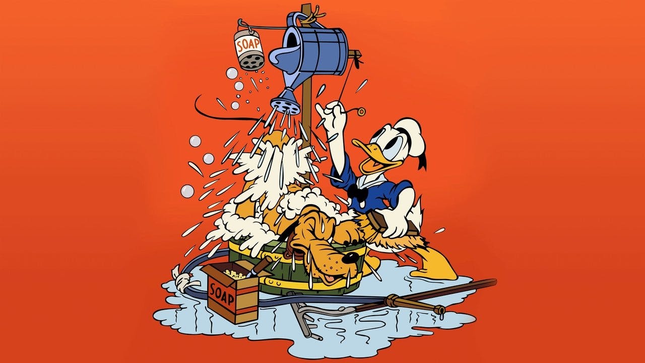 Lavanderia de Cachorros do Donald