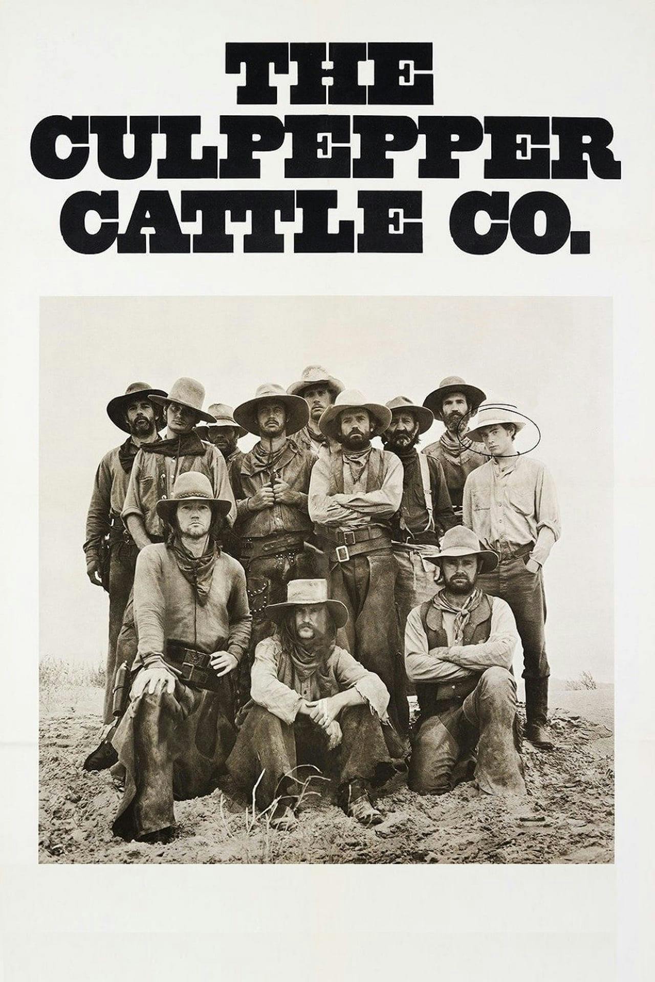 Assistir The Culpepper Cattle Co. Online em HD