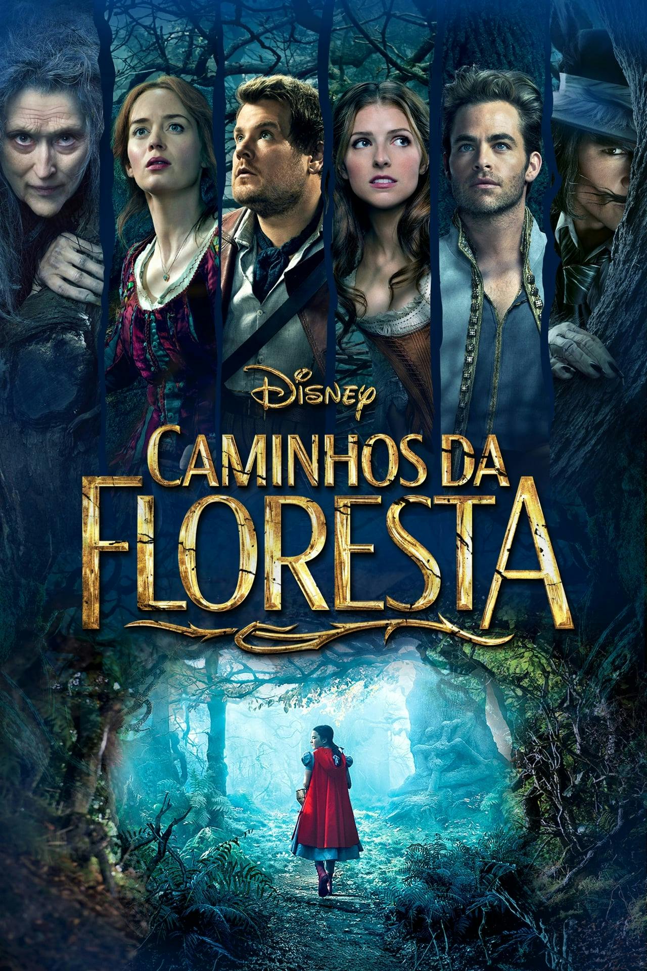 Assistir Caminhos da Floresta Online em HD