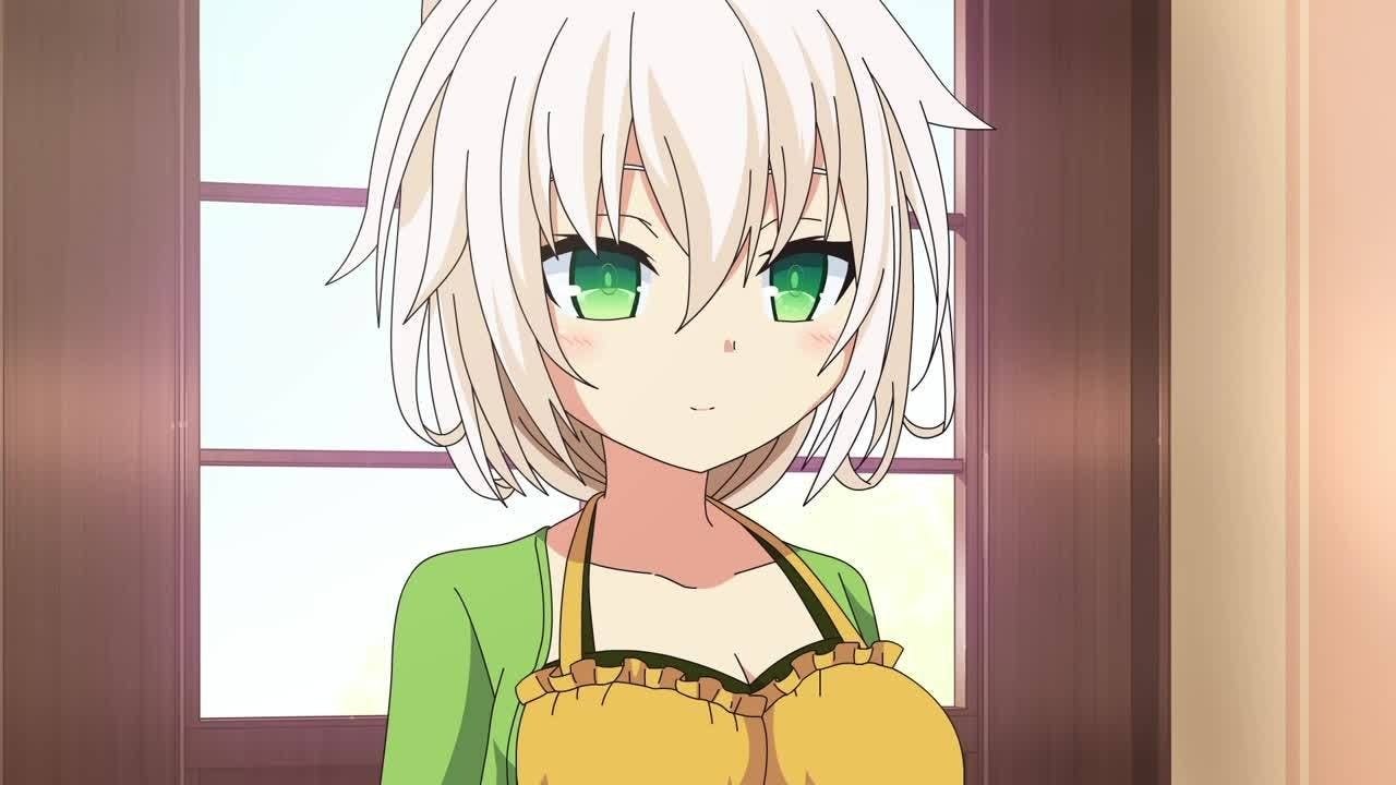 Nora to Oujo to Noraneko Heart