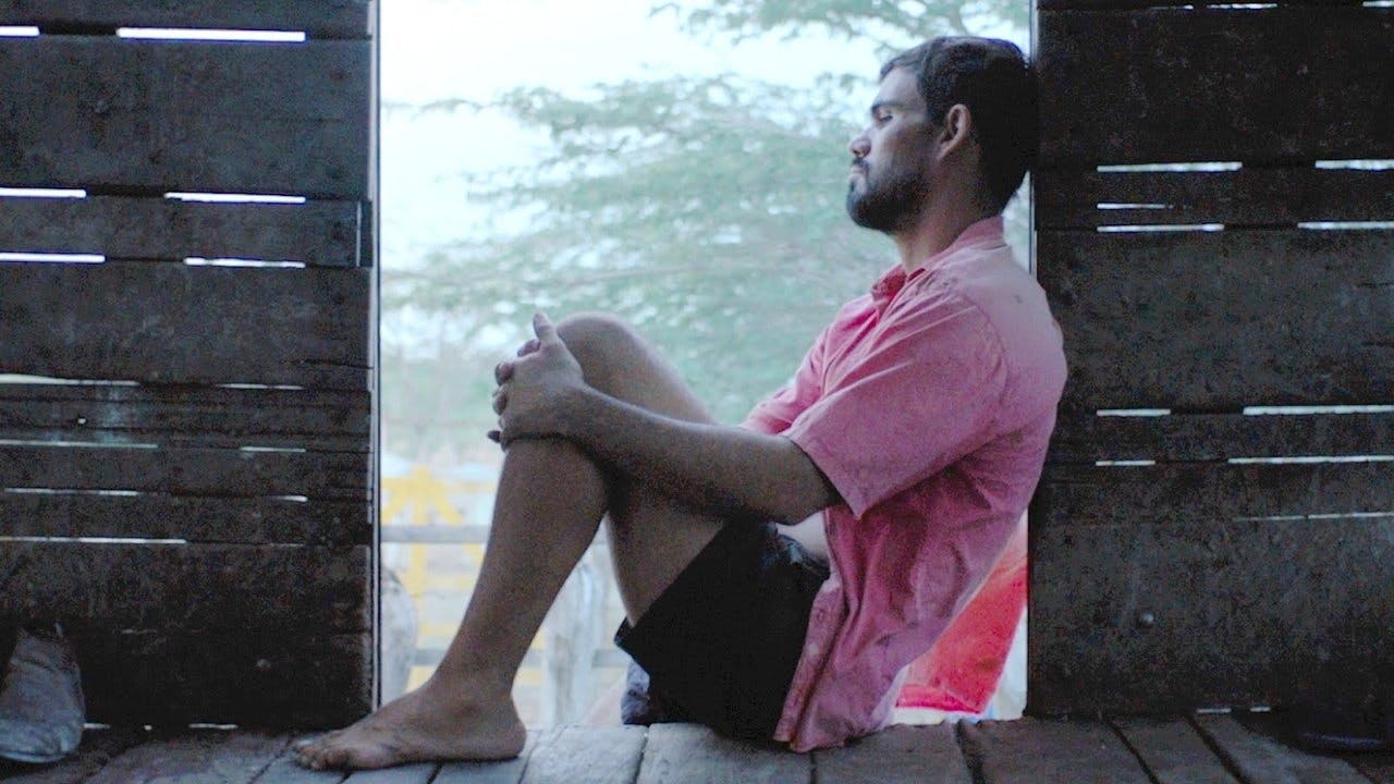 Boi Neon assista online